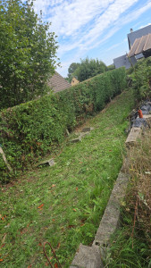 Photo de galerie - Jardinier