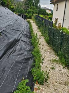 Photo de galerie - Paysagiste - Aménagement du jardin