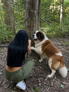 Photo de galerie - Balade chien 
