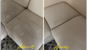 Photo de galerie - Désinfection totale 