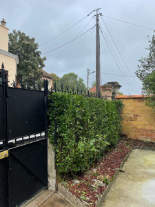 Photo de galerie - Taille de arbustes 