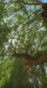 Photo de galerie - Bricolage et multi services