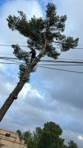 Photo de galerie - Démontage pin menaçant les câble 