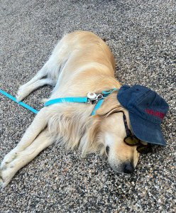 Photo de galerie - Osso