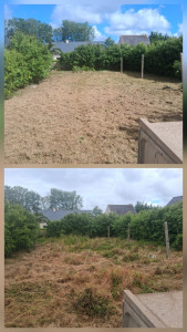 Photo de galerie - Avant/après d’un débroussaillage de jardin non entretenu 