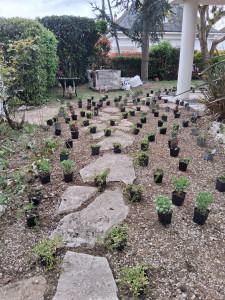 Photo de galerie - Paysagiste - Aménagement du jardin