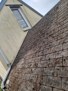 Photo de galerie - Demousage apres