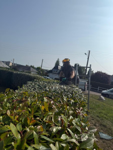 Photo de galerie - Nos service d’élagage et d’espace verts 