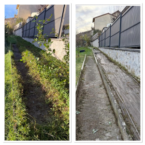 Photo de galerie - Désherbage d’allée 