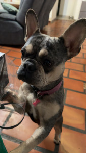 Photo de galerie - Lana 