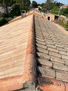 Photo de galerie - Nettoyage de toiture sans Karcher avec produit rénovateur curatif préventif