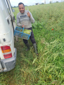 Photo de galerie - Jardinier polyvalent 