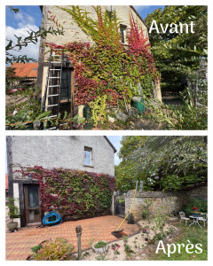 Photo de galerie - Remise en état, taille, nettoyage terrasse…