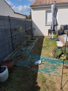 Photo de galerie - Pose bâche de paillage et plantation de 