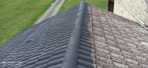 Photo de galerie - Mise en peinture d'une toiture après nettoyage et démoussage.