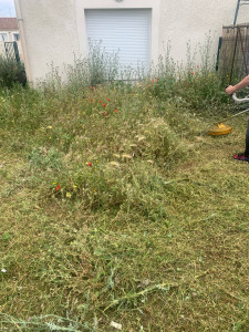 Photo de galerie - Debut chantier espace vert