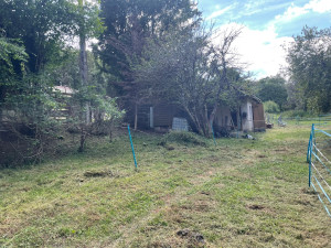 Photo de galerie - Tonte de pelouse - Débroussaillage