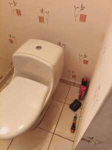 Photo de galerie - Remplacement wc