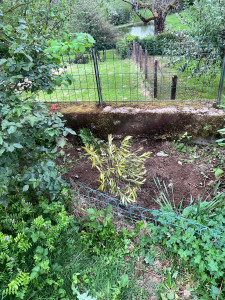 Photo de galerie - Aménagement du jardin 