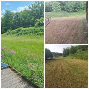 Photo de galerie - Tonte 