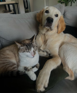 Photo de galerie - Charly , petite sieste avec Anastazja