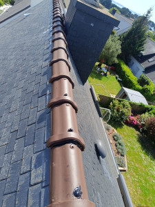 Photo de galerie - Changement du faîtage