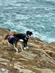 Photo de galerie - Ghost et Poppy