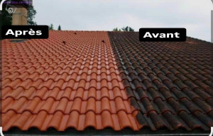 Photo de galerie - Couverture - Toiture