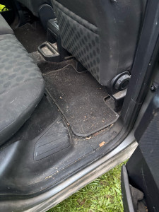 Photo de galerie - .