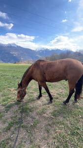 Photo de galerie - Ma dp 