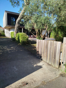 Photo de galerie - Paysagiste - Aménagement du jardin