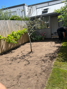 Photo de galerie - Paysagiste - Aménagement du jardin