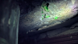 Photo de galerie - Recherche de fuite non destructive dans gaine technique avec colorant