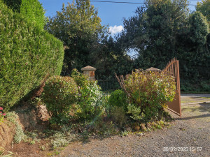 Photo de galerie - Taille  d'arbustes et de rosiers