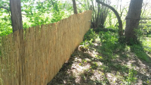 Photo de galerie - Bricolage et multi services
