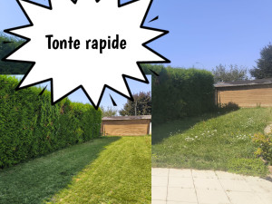 Photo de galerie - Tonte rapide 