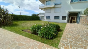 Photo de galerie - Bêchage massif 
