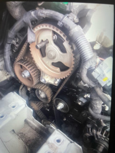 Photo de galerie - Courroie distribution 