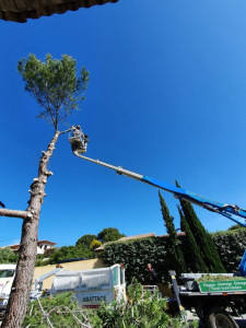 Photo de galerie - Bricolage et multi services