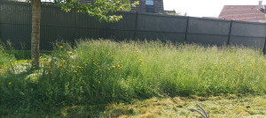Photo de galerie - Tonte herbe haute