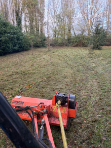 Photo de galerie - Broyage de grande herbes et ronciers 