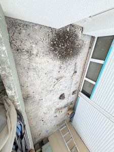 Photo de galerie - Peinture - Tapisserie