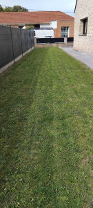 Photo de galerie - Tonte de pelouse 