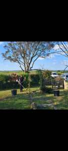 Photo de galerie - Remise en état d'un jardin de 500m2