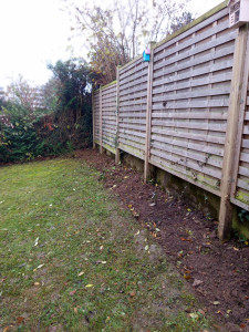 Photo de galerie - Paysagiste - Aménagement du jardin