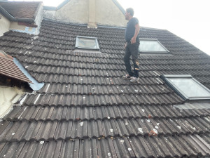 Photo de galerie - Couverture - Toiture