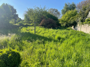 Photo de galerie - Débroussaillage 