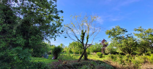 Photo de galerie - Paysagiste - Aménagement du jardin