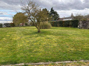 Photo de galerie - Tonte