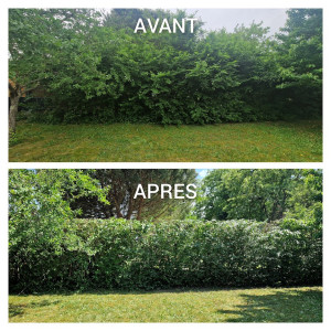 Photo de galerie - Avant après 